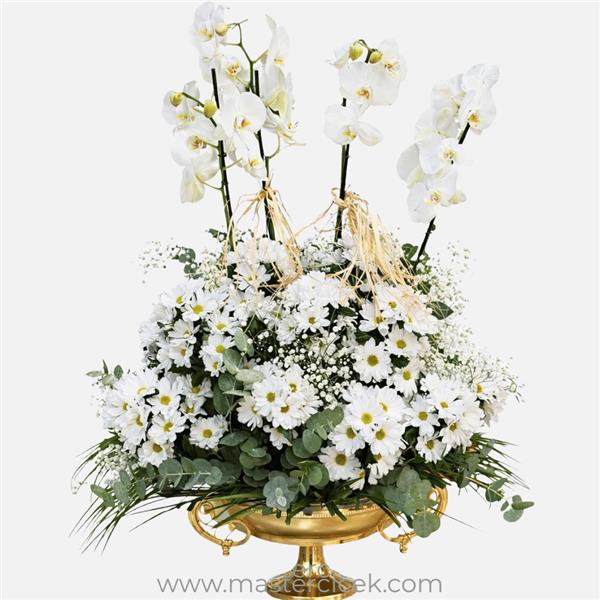 Beyaz Orkide & Papatya Aranjmanı (Gold Ayaklı)